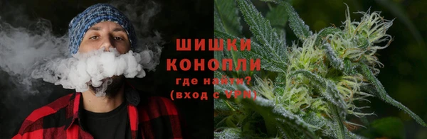 метамфетамин Ельня