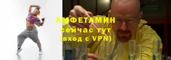 сатива Елизово