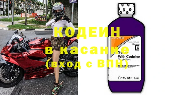 сатива Елизово