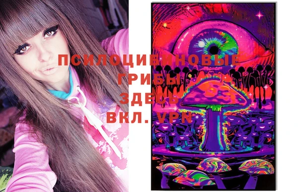 метамфетамин Ельня