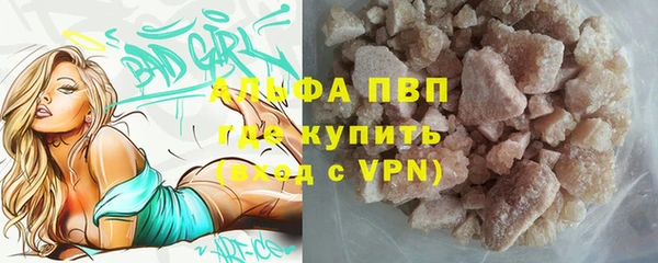 сатива Елизово