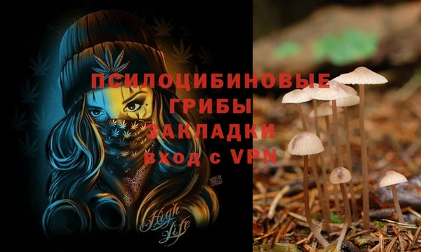 сатива Елизово