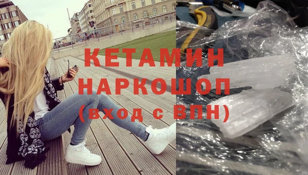 сатива Елизово