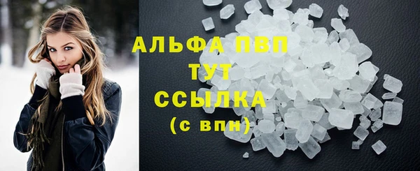 сатива Елизово