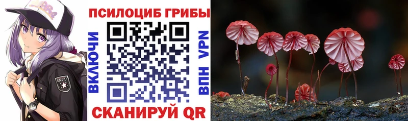 Галлюциногенные грибы ЛСД  Купить где  Советск 